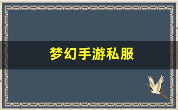 梦幻手游私服(梦幻西游手游官方渠道服) (2)