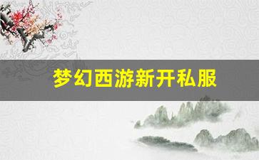 梦幻西游私：梦幻西游新开私服 (16)